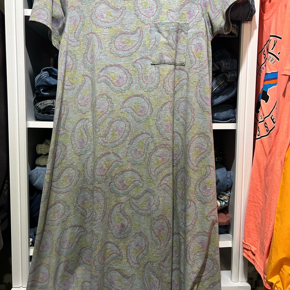LuLaRoe Paisley Pocket Midi Dress in Pastel Green and Pink